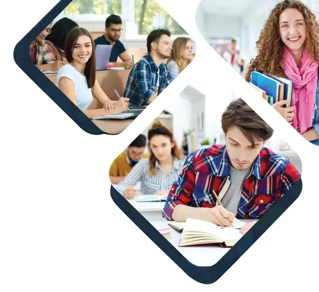 study abroad consultant